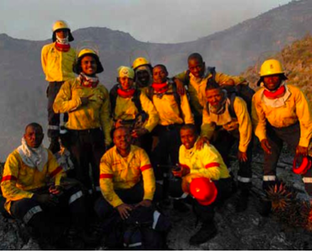 Photo caption: The Working on Fire programme is taking unemployed men and women from rural communities and turning them into skilled veld and forest fire fighters.
