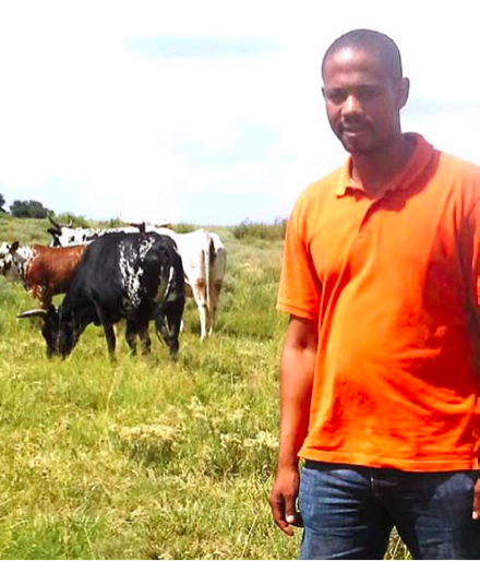 Photo caption: Victor Matjuda has worked his way up to become one of the country’s top young stud breeders, thanks to the skills he gained through the Nguni cattle breeding programme.