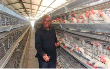 Photo caption: Joseph Khosa (above) is proud to be part of efforts to create jobs in the country. The Sasekisani Egg Production Cooperative, which he formed with other community members, employs 14 permanent workers in Mpumalanga. (Pictures: Mduduzi Tshabangu)