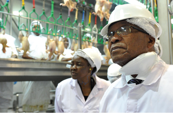 Photo caption: President Jacob Zuma inspects operations at the Granfield Chicken Farm Abattoir – a job creation project that is supported by government - in the Free State.