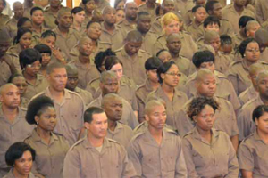 The Department of Correctional Services has provided work opportunities for thousands of unemployed youth through its learnership and internship programmes.