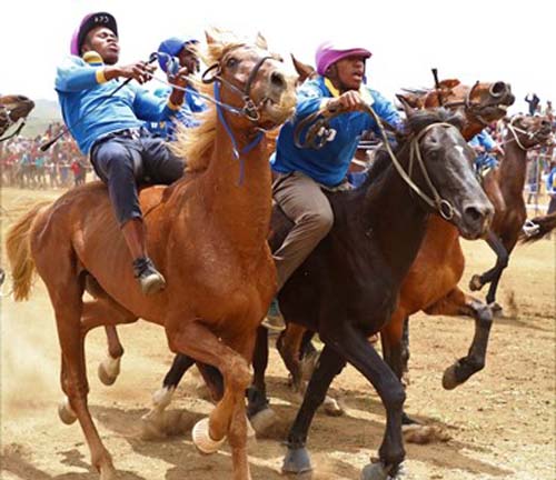The standard of the Harry Gwala Summer Cup is improving, showcasing that rural people can take part in horse riding.