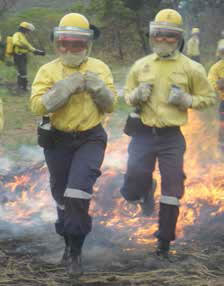 Environmental programmes such as Working with Fire have created thousands of work opportunities.