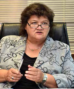Public Enterprises Minister Lynne Brown says companies must play a bigger role in skills development by training more artisans and engineers.