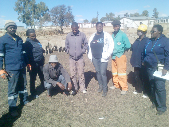 Members of the Zulukama Community Trust run successful wool hubs near Whittlesea, Eastern Cape.