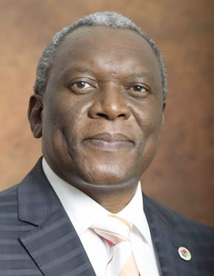 Minister Siyabonga Cyprian Cwele.
