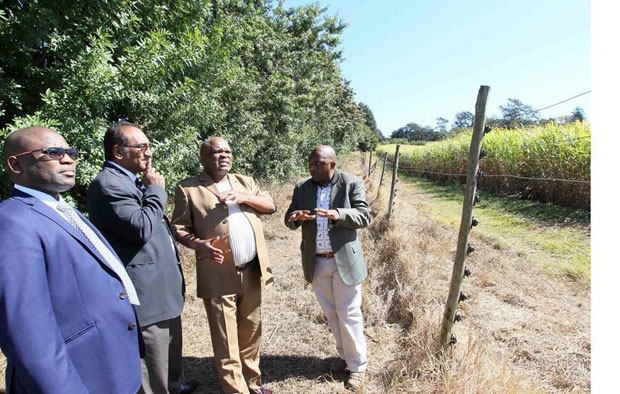 MEC Themba Mthembu (centre) together with vice chairman of the South African Sugar Association Suresh Naidoo, Inkosi Zakhele Gumede and Dr Zungu visiting the Nkanini-Qwabe Sugarcane Project.
