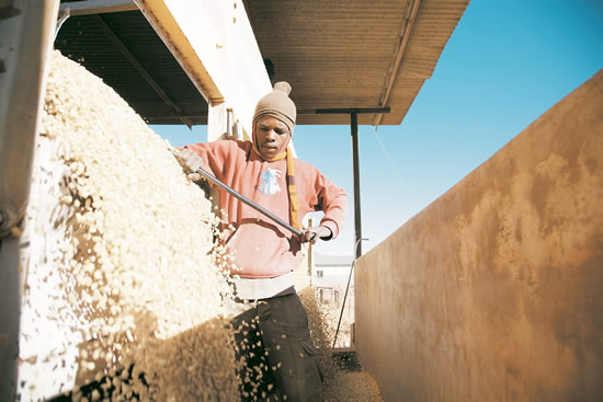 The Agro-Processing Support Scheme aims to increase competitiveness and create jobs. (Image: BSA)