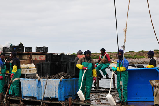 Mussel aquaculture projects in Saldanha Bay have grown the fishing towns economy and created work (Photo: Innovation Norway