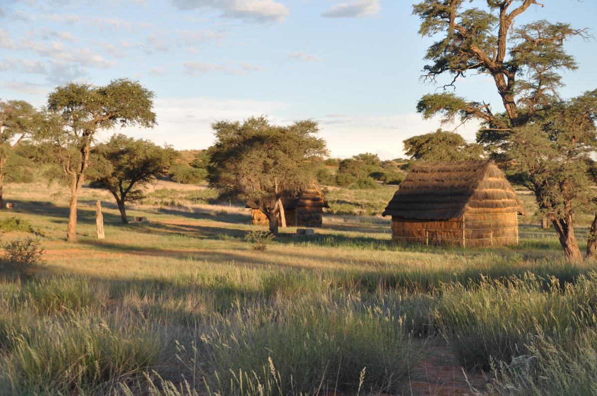 The ‡Khomani San Cultural Landscape holds archaeological evidence of human occupation from the Stone Age to the present. (Photo: Kevin Moore of SANParks)