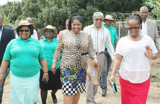Rural Development and Land Reform Deputy Minister Candith Mashego-Dlamini (centre) and Hibiscus Coast Mayor Councillor Cynthia Mqwebu (left) visit Busi Lubanyana farm.