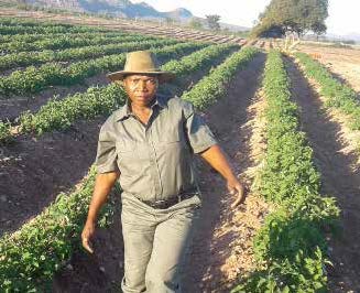 The Sky is the limit for Rosina Nevhutalu, who started off as a farm worker and now owns her own farm.