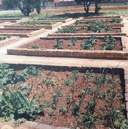 Learners at the Phelang School for Learners with Special Educational Needs will now be producing their own compost, thanks to Mpact Plastic Containers and the Ekurhuleni Metropolitan Municipality.