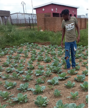 Zakhele Sibande is a proud farmer contributing to food security.