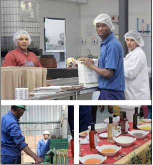 Goedgedacht staff ensure that the olives, and olive oil products are packed and shipped off to be sold at Pick ‘n Pay stores country wide. (Pictures: Tendai Gonese.)
