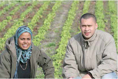 Wadea Jappie and her son and farm foreman Nabeel Brinkhuys supply various restaurants and eateries throughout Cape Town with their scrumptious salad crops.