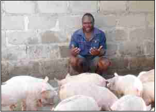 Raymond Sibuyi has become a successful vegetable and pig farmer with the help of Mpumalanga Department of Agriculture, Rural Development and Land Administration.