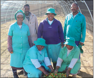 They started off with no farming skills but the women and men of the Dlondlobala Agricultural Cooperative are now running a thriving business.