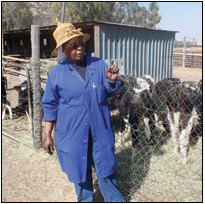 Sister Priscilla Katase, who runs a dairy farm in Frankfort Savage, in the Free State, has taken it upon herself to create jobs for the local youth and teach them about farming.