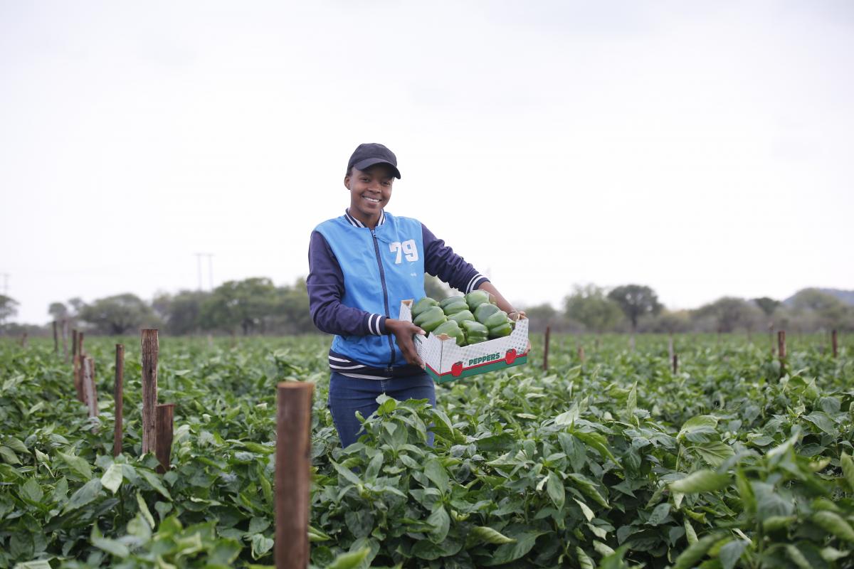 Young farmer Mahlatse Matlakane displays a box of green peppers successfully produced on her farm in Limpopo. 