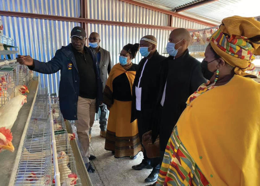Chairperson of the Ubumbano Secondary Cooperative Mzimasi Sotyatho (left) shows off the cooperative's chickens to officials from Rand Mutual Assurance and the Eastern Cape Department of Rural Development and Agrarian Reform.