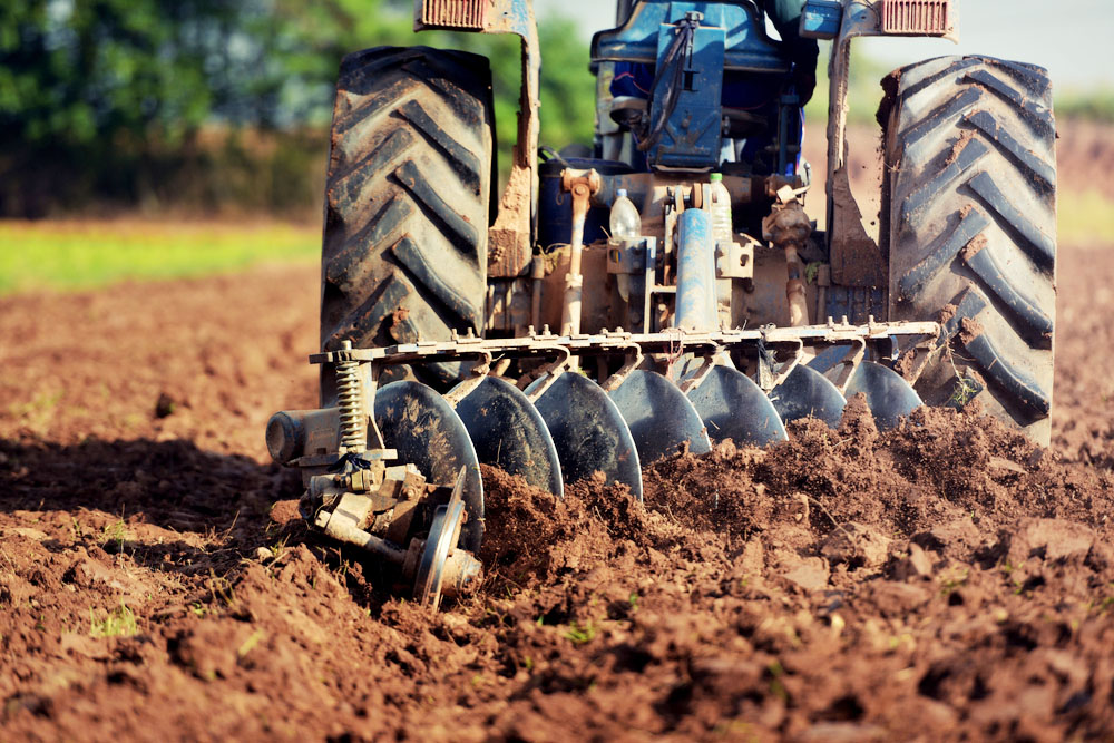 Agriculture to play a role in food security in the Mpumalanga province.