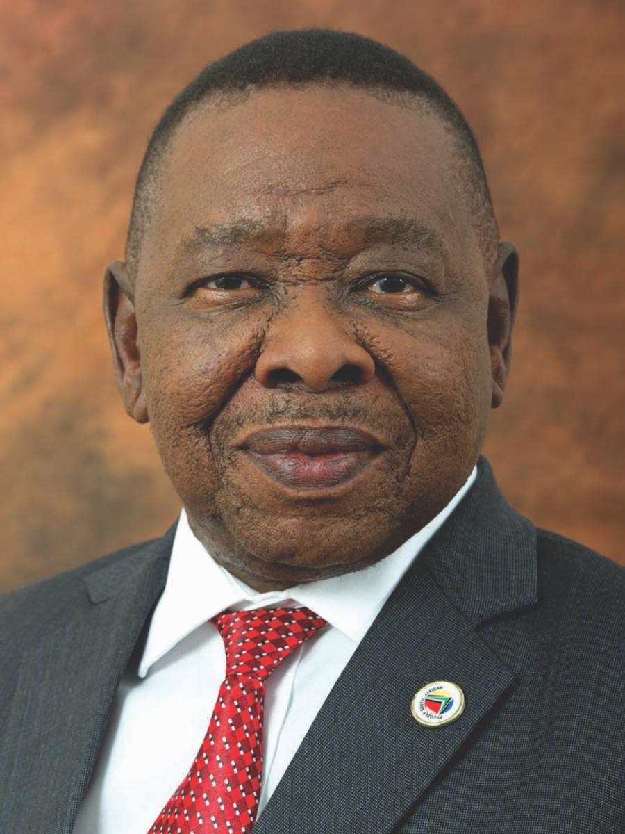 Minister of Transport Dr Blade Nzimande says government will align all provincial road safety plans with the national road safety strategy to curb road fatalities.