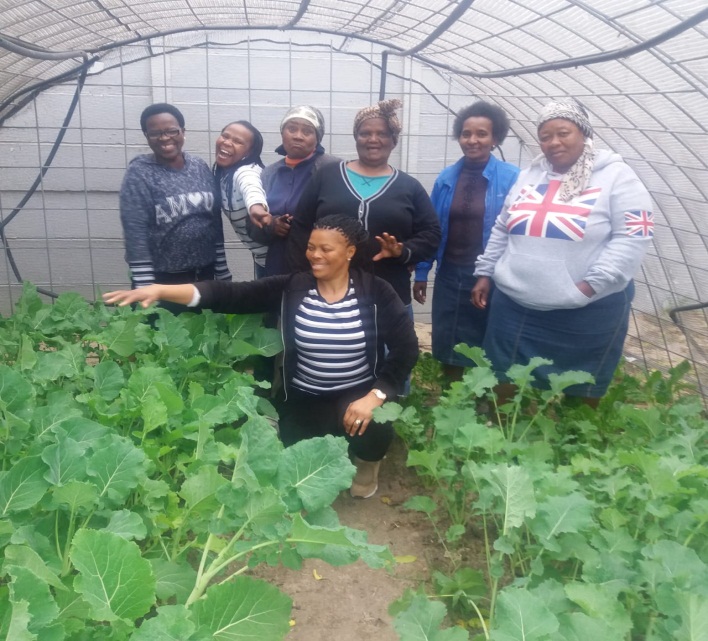 Women of Peace’s Garden Project flourishing in the township