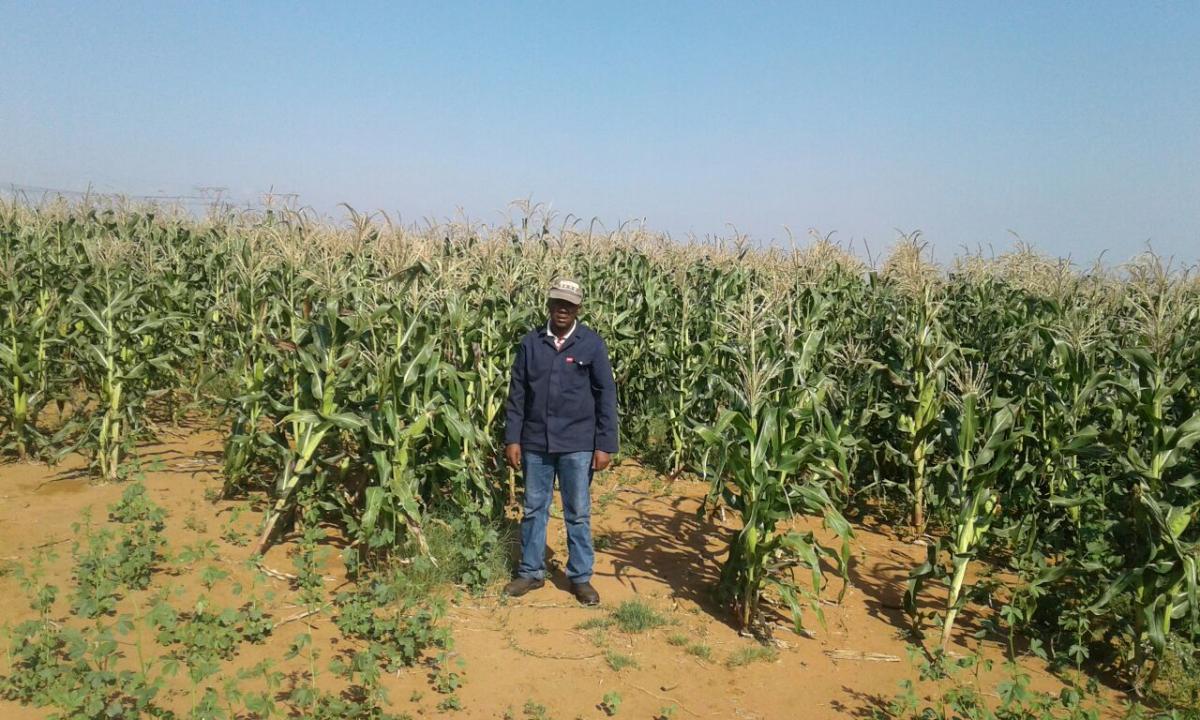 Moniwa Skhosana is a born farmer who also encourages young people to be part of the agricultural sector.