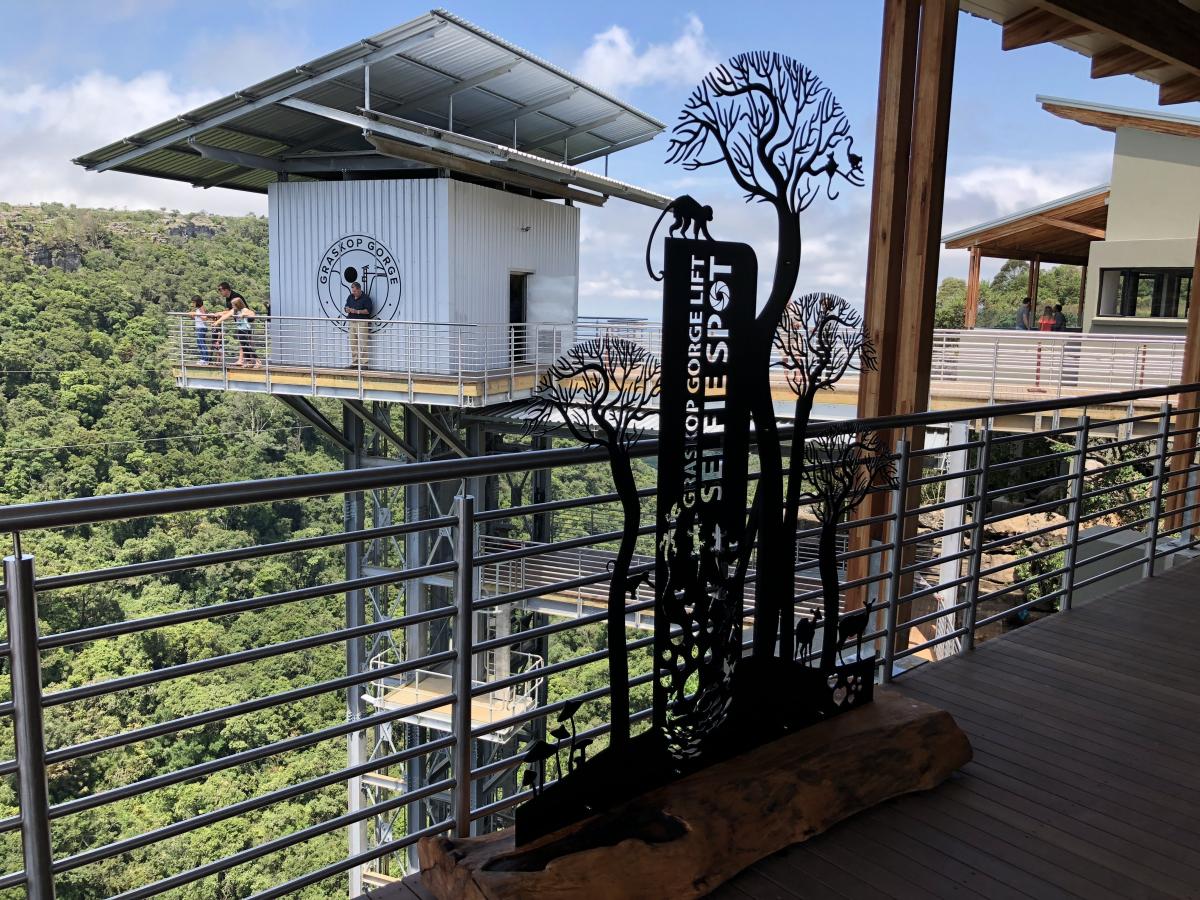 The viewing lift has made the magic of a spectacular Afromontane forest easily accessible. You will feel humbled by the towering trees that grow tall in search of sunlight.