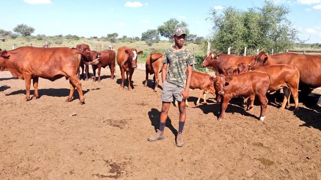 At just 19 years of age Thabo Herman Dithakgwe runs a successful agricultural business called Nasi Ditha Farming, Wildlife and Projects in Vryburg in the North West