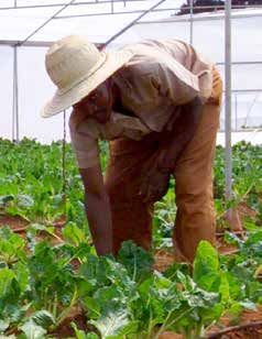 More than 5 000 jobs created in the agricultural sector.