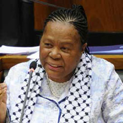 Science and Technology Minister Naledi Pandor says her department plans to increase the number of science graduates in the country.