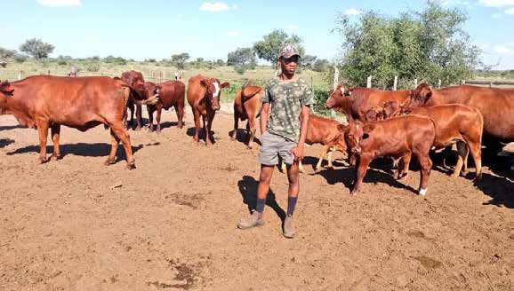 Thabo Herman Dithakgwe is an example to young people that there is success in farming.