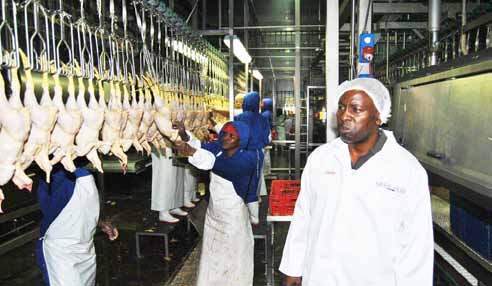 Grain Fields Chickens Abattoir employees hard at work at the new abattoir in the Free State.