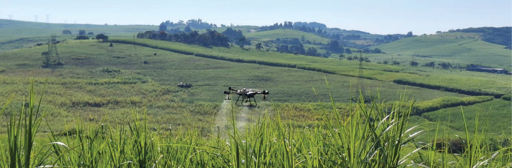 Nokuphila Gumede has intergrated  technology to the agricultural  sector with her drone technology.