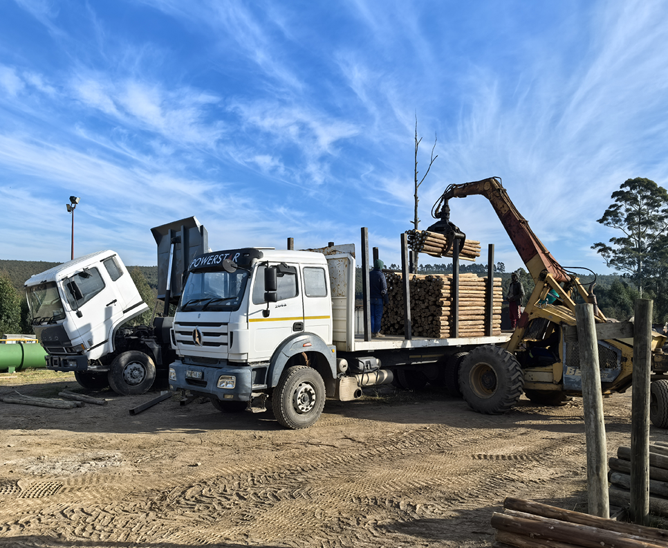 Keeping a legacy alive through timber