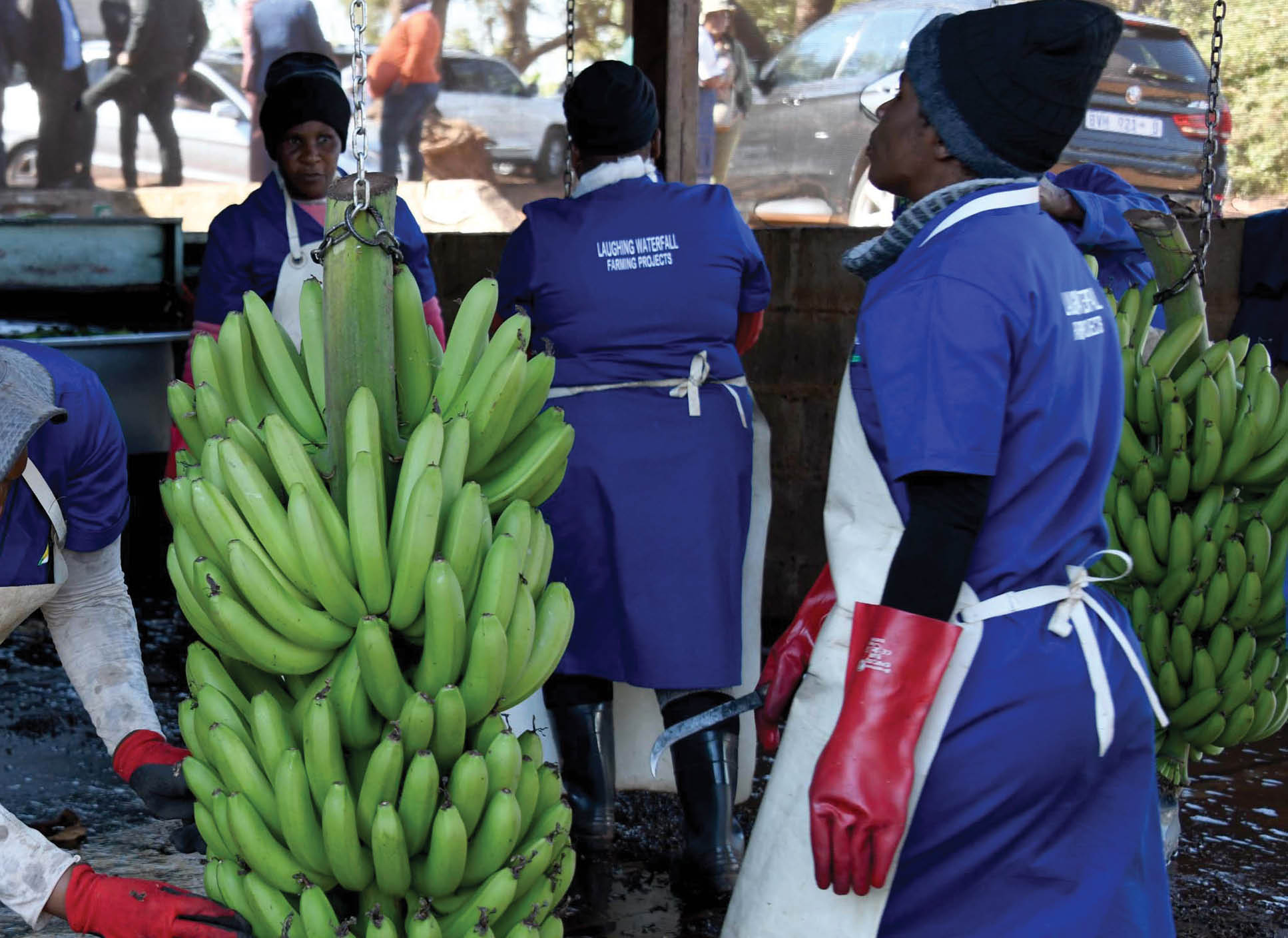 Mabindzu lamanene na ku va lama katsaka hinkwavo i ya nkoka eka ku kula na mitirho eAfrika-Dzonga