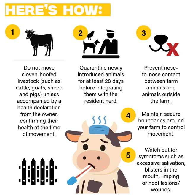 How to avoid Foot-and-Mouth Disease