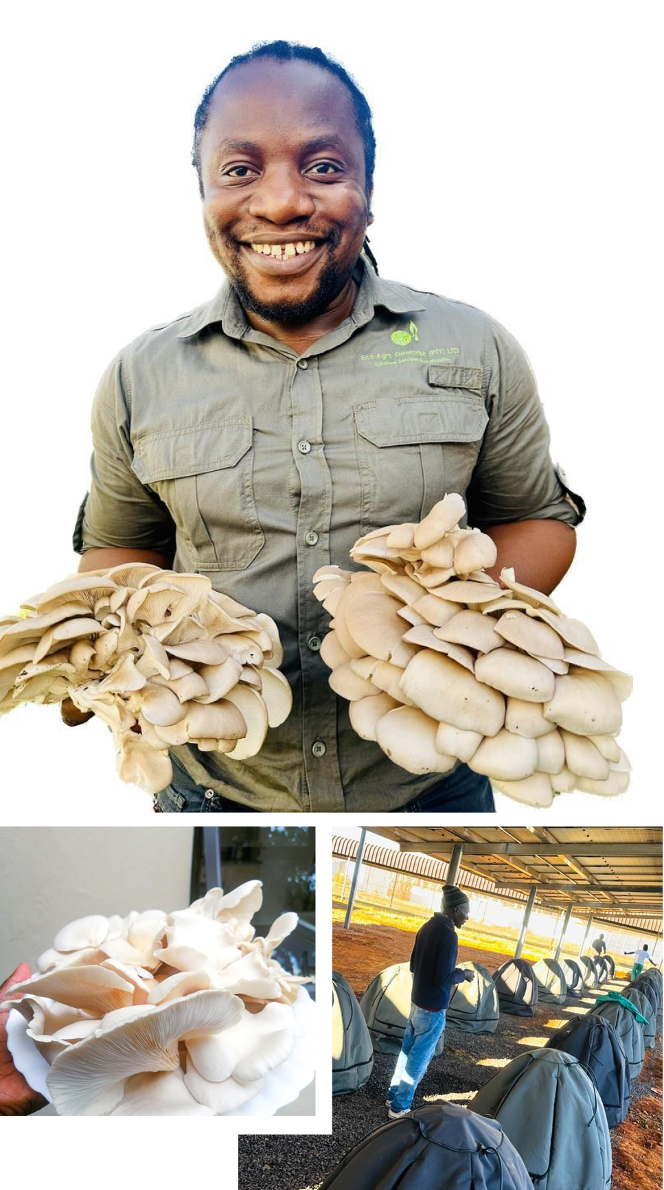 Dr Sihlangu fusing research and entrepreneurship with his MushMag 5000.