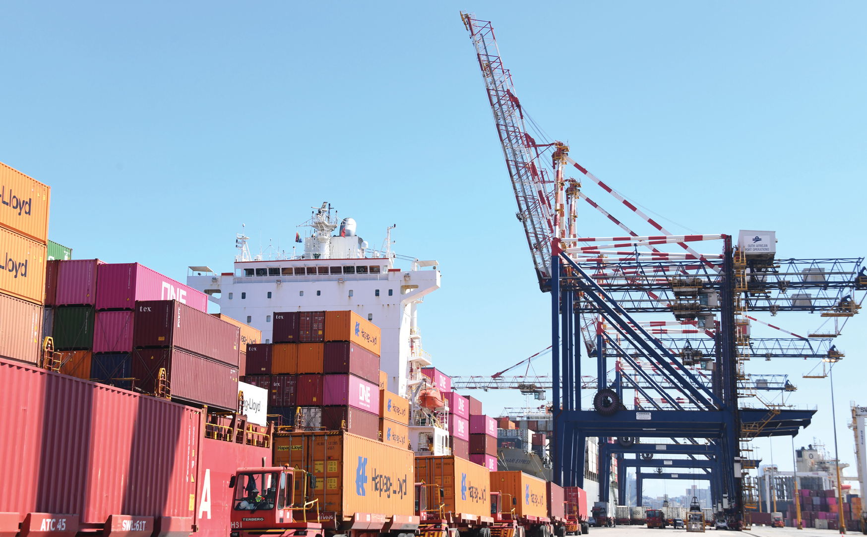 The green shoots of an economic recovery