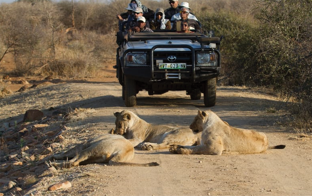 Between January and December 2025 approximately 10.5 million tourists visited South Africa, the highest number of international arrivals on record.