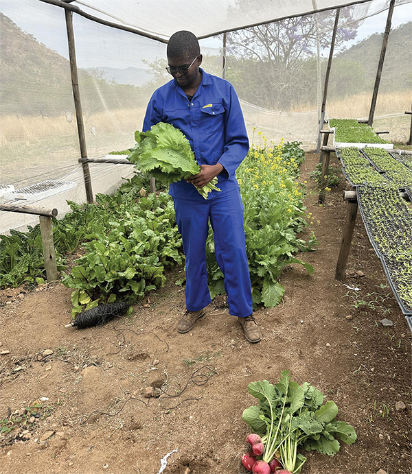 Mfanzile Maseko at the heart of rural development and job creation.