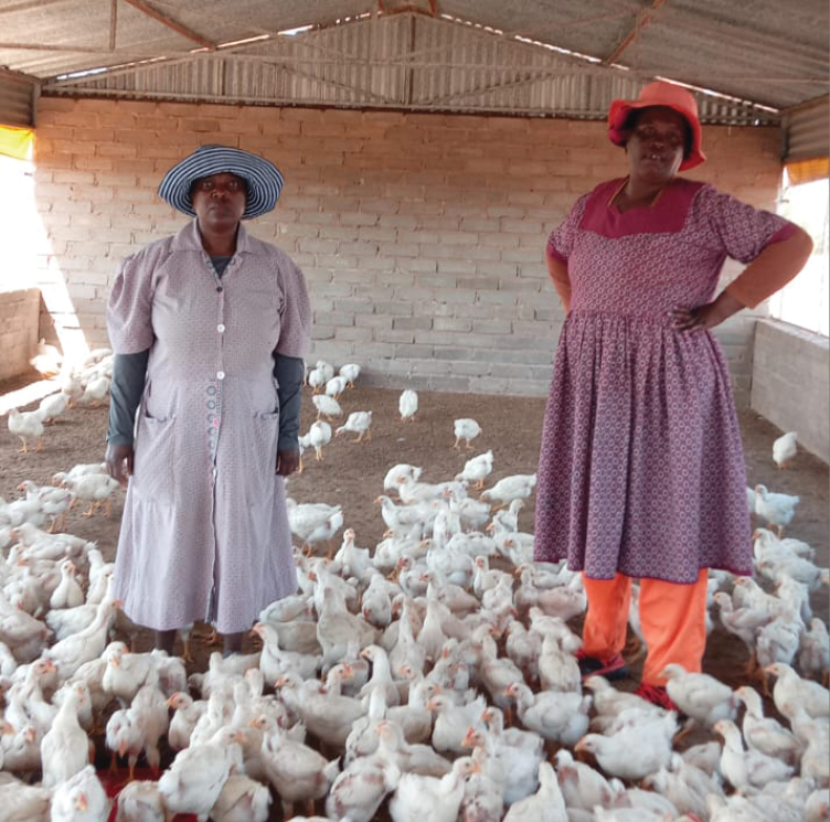 Lydia Malatjie (Chairperson) and Legau Dudu (Deputy Chairperson) are among the women leading the Dinalafase Primary Agricultural Cooperative in Maruleng Village - a poultry and vegetable project founded by seven women to tackle unemployment and uplift their community.