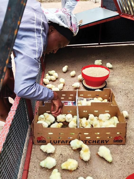 Fighting poverty through village economic development
