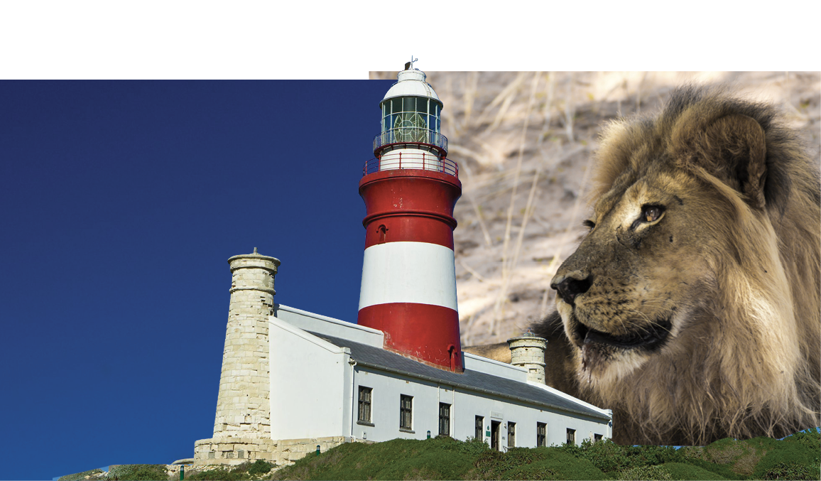 How to enjoy access to South Africa’s National Parks - for free