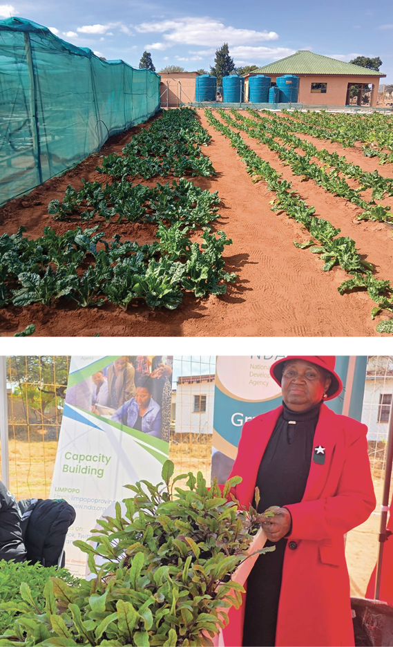 Johanna Mailula Maphosa founded the Maphosa Drop-in Centre to support vulnerable children and families in her community.