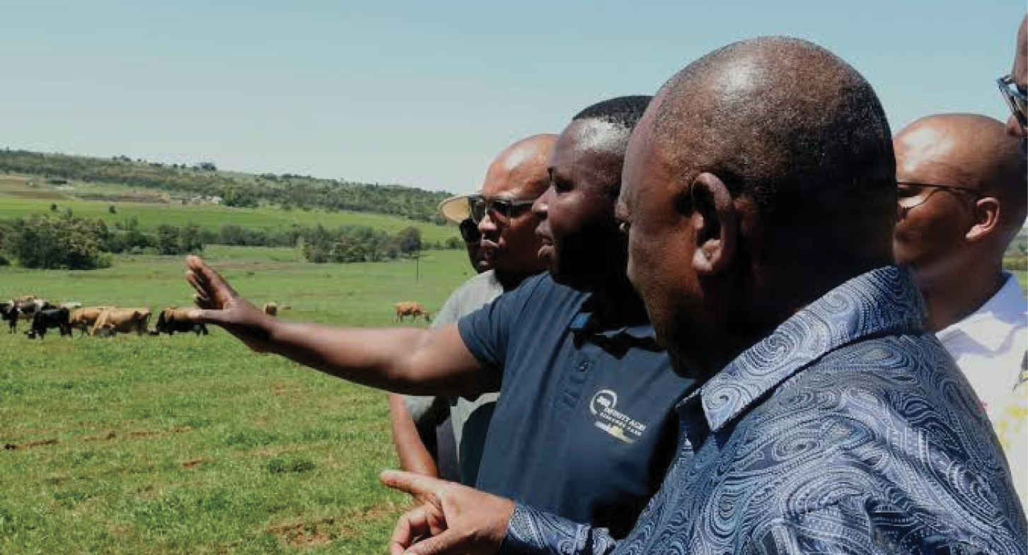 President Cyril Ramaphosa visited the Land Bank-supported Redlands Dairy Farm in Stutterheim, Eastern Cape, where he toured the dairy farm and engaged with the owners, employees and farm team on its operations.