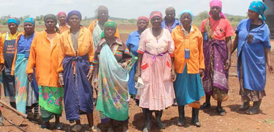 The women of Muyexe in Limpopo are fighting hunger by growing their own food through the Macena Vegetable Cooperative, which they started in 1993.