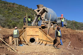 More than 1 000 unemployed people in the Eastern Cape got jobs as part of the S'hamba Sonke programme [Photo: Siyabulela Duda] 